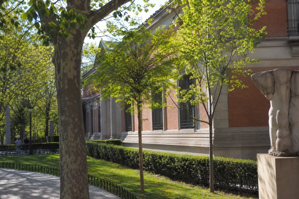 Gallery of a historic art academy with dark red walls and gold-framed Spanish paintings